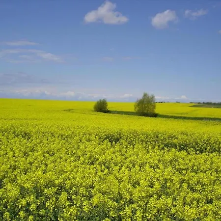 Inviting In With Communal Garden Apartment Wendelstorf