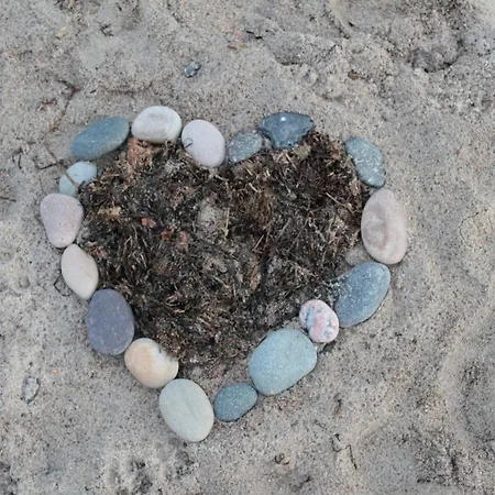 Apartment Inviting In With Communal Garden Wendelstorf