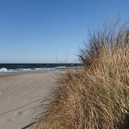 Inviting In With Communal Garden Wendelstorf