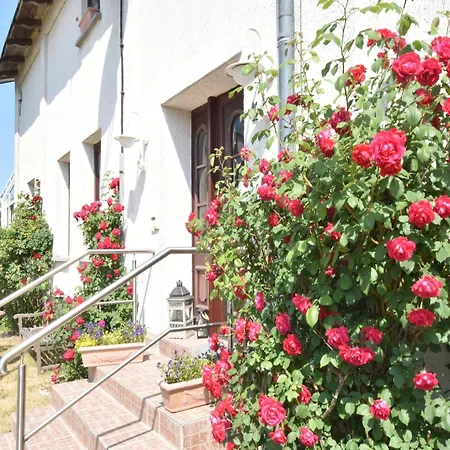 Inviting In With Communal Garden Apartment *