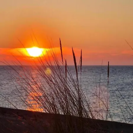 Inviting In With Communal Garden