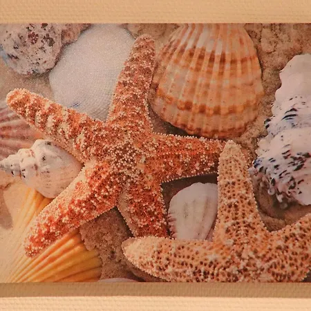 Inviting In With Communal Garden Apartment *