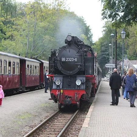 Inviting In With Communal Garden Apartment