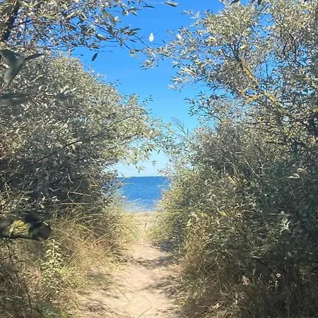 Inviting In With Communal Garden Apartment *