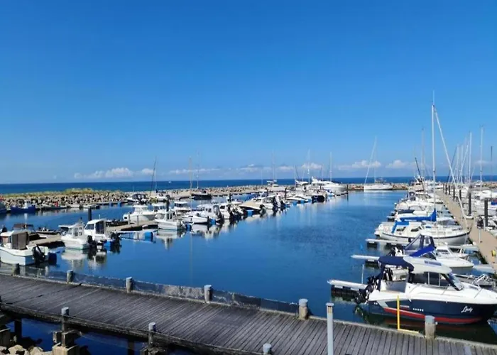 Inviting In With Communal Garden