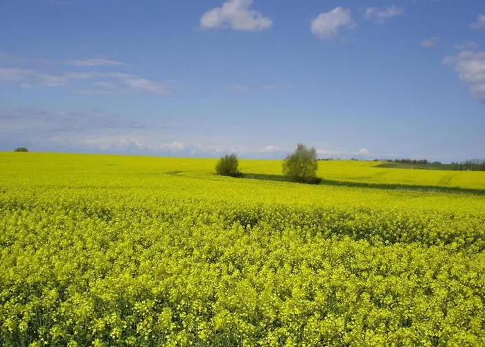 Inviting In With Communal Garden Appartement Wendelstorf