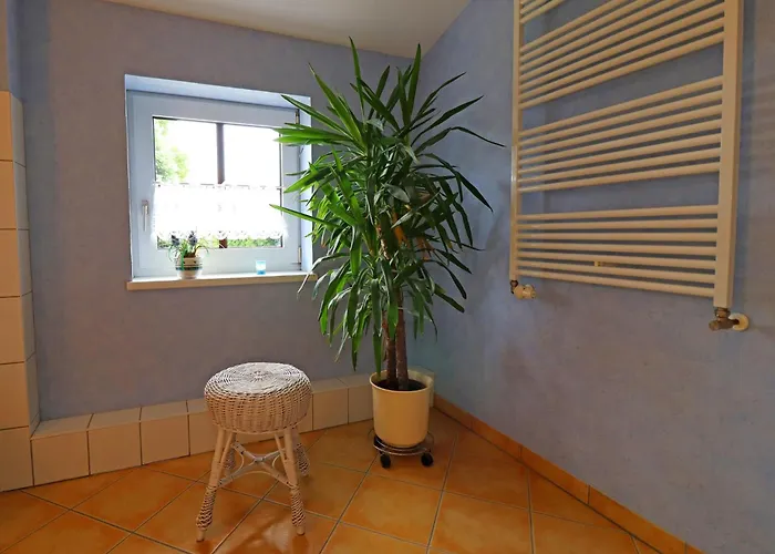 Inviting In With Communal Garden Appartement