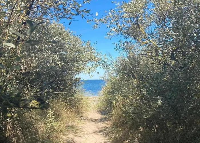 Inviting In With Communal Garden Appartement *